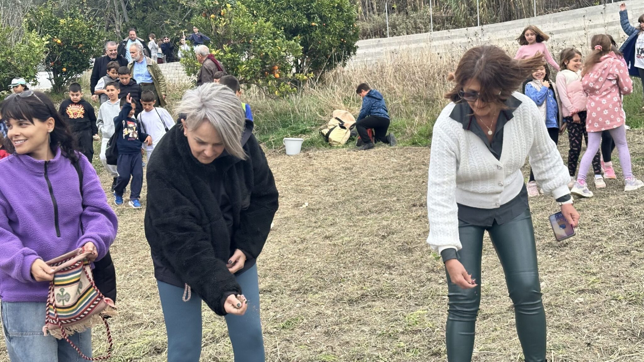 8ab81668-e518-bf3e-5300-c8eac5a489e0-scaled