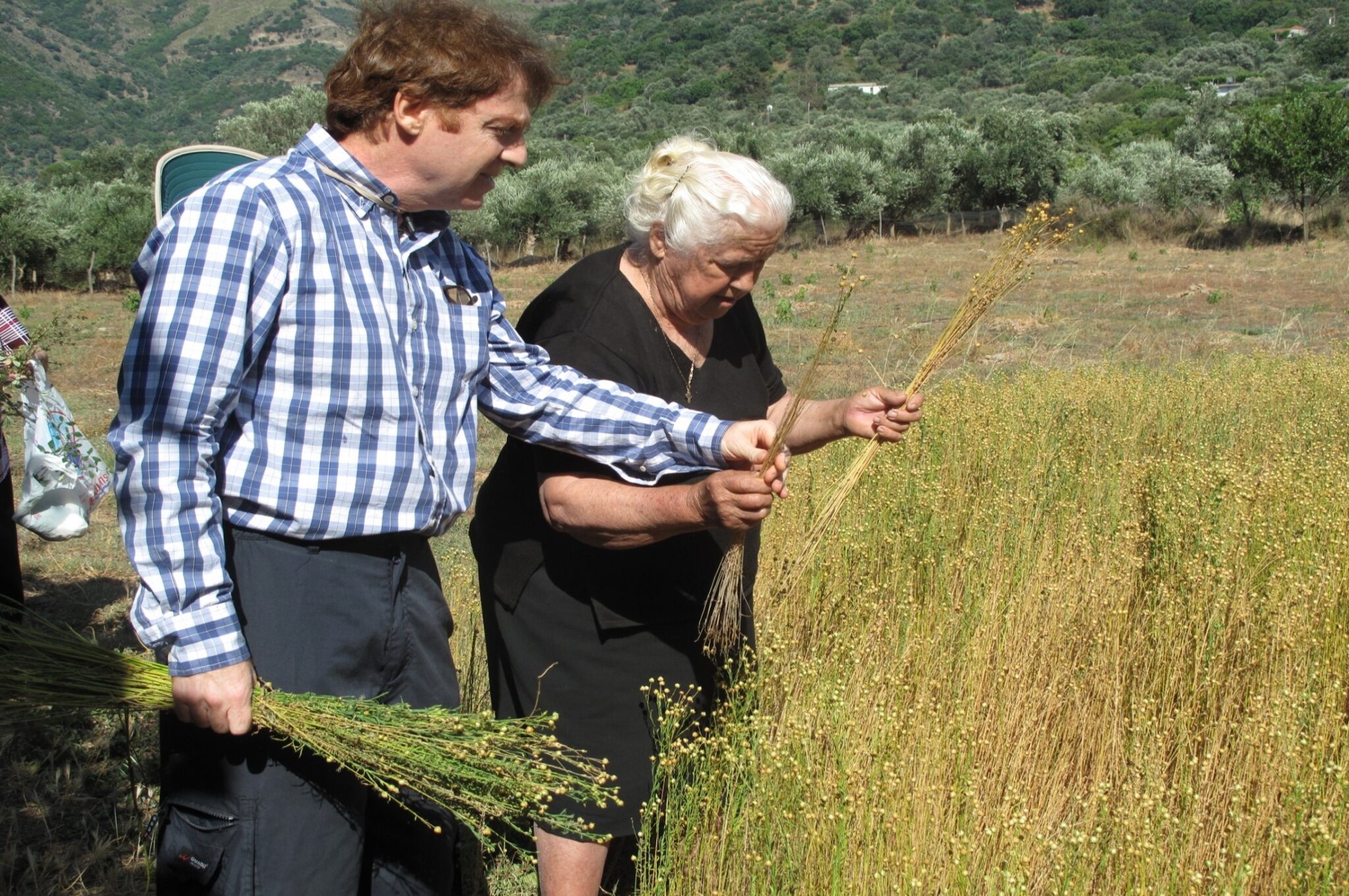 Εικόνα62
